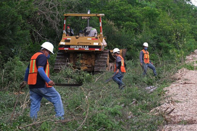 Organizaciones reclaman a Gobierno mexicano desprotección ambiental en Tren Maya
