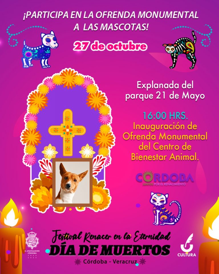 Este jueves 27 de octubre, inicia el Festival Día de Muertos «Renacer en la Eternidad» 