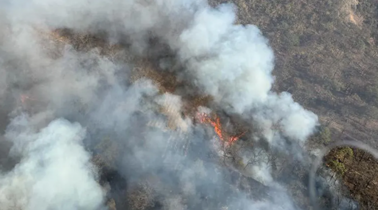 Activan Alerta Atmosférica en Zapopan y Guadalajara por incendio forestal